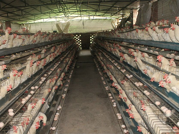 工業(yè)暖風機在一些場所的使用優(yōu)勢